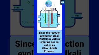 What is Chlor Alkali Process  chlorine preparation  Hindi tutorial  class 10  shorts [upl. by Eenahs574]