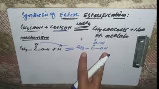 Esterification Synthesis of Ester Mechanism 2nd year chemistry unit 13 mzkchemistry [upl. by Drawdesemaj370]