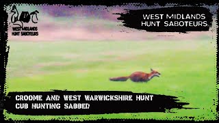 Croome and West Warwickshire Hunt  Cub Hunting SABBED [upl. by Eylsel992]