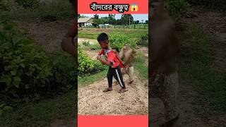 😱ছেলেটা বাঁদরের বন্ধু হয়ে গেল Boy And Monkey Frend bangla [upl. by Odravde794]