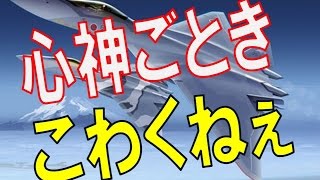 【心神】「心神がこの防御網を突破できるのか見ものだな…」と中国人民軍の根拠なき自信 [upl. by Eivad]