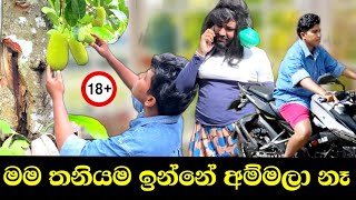 අම්මලා ගමනක් ගියා මම තනියම ඉන්නේ ගෙදර 😂  boraluigalayai funny comedy [upl. by Hbaruas]