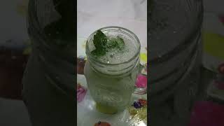 Home made Mojito Easy Recipe Ever [upl. by Urial81]