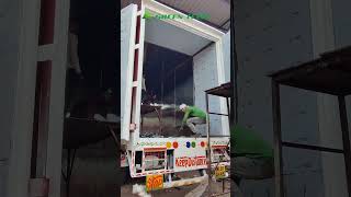 Green Tech Solutions Reefer Container Manufacturer  Call Now 91 9671706602 dslreefercontainers [upl. by Enilhtak]