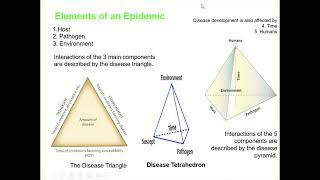 Plant Disease Triangle Disease Tetrahedron and Disease Pyramid Disease epidemiology [upl. by Leifer]