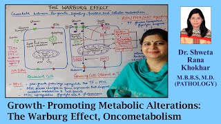 Growth Promoting Metabolic Alterations The Warburg Effect  Oncometabolism  Autophagy [upl. by Cohen364]