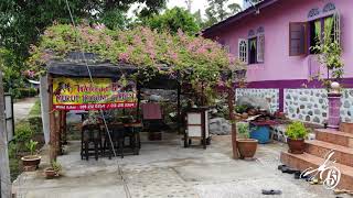 Tioman island Malaysia  Mukut village  Seaside Chalets [upl. by Tdnerb]