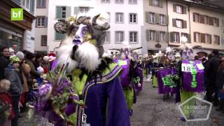 Elbisrugger FasnachtClip «Satisfaction» Umzug Liestal 2013 [upl. by Meurer488]