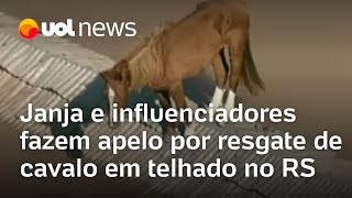 Cavalo ilhado no RS Janja e influenciadores fazem apelo por resgate de animal em telhado [upl. by Kcirde555]