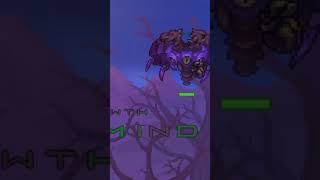 TERRARIA CALAMITY IS AN ACTUAL HORROR GAME terraria terrariagameplay terrariacalamity [upl. by Yetnom623]