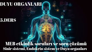 11Sınıf MEB Etkinlik ve soru çözümü Sinir Sistemi Endokrin sistem ve Duyu organları [upl. by Saunders218]