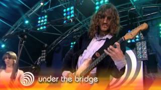 Red Hot Chili Peppers  Under the Bridge  Live [upl. by Arat]