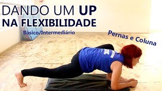 EXERCÍCIOS DE FLEXIBILIDADE PARA PERNAS E COLUNA  Níveis Básico e Intermediário [upl. by Eimile227]