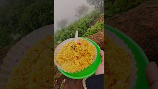 Mullayanagiri Peal Chikmagalur ⛰️  chikmagalur mullayanagiri amazingview peak yt music [upl. by Vevina637]