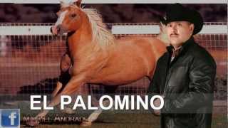 El Corrido del Palomino MANUEL ANDRADE [upl. by Aggie340]