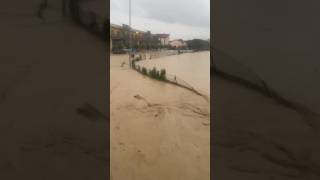 ALLUVIONE SPAZZA VIA TUTTO AD ANCONA [upl. by Shari]