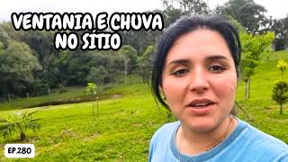 TIVEMOS QUE CORRER DA CHUVA PLANTEI FEIJÃO DE VAGEM NA HORTA EP280 [upl. by Fidellas208]