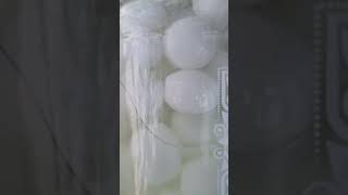 DAY2 soaking naphthalene mothballs and acetone asmr mothballs naphthalene [upl. by Lally]