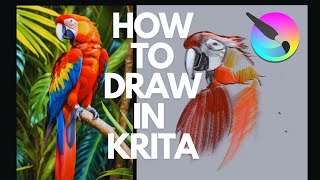 How to Draw in Krita for Beginners 2024  Digital Art Tutorial [upl. by Lenard]