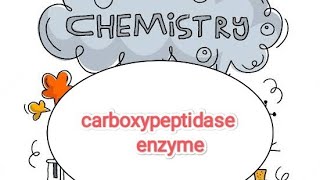 carboxypeptidase enzyme MSc [upl. by Lunneta]