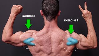 The ONLY 2 Exercises You Need for Rear Delts NO SERIOUSLY [upl. by Anikram]