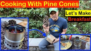 GEAR REVIEW Cooking With Pine Cones Tomshoo Camping Stove on Amazon [upl. by Ainatit]