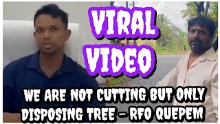 IS QUEPEM RFO INVOLVED IN ILLEGAL CUTTING OF TREES [upl. by Rosalinda]