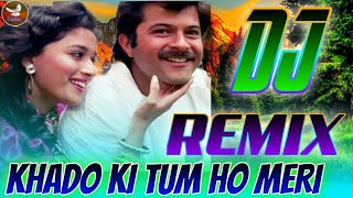 Kehdo Ke Tum Ho Meri Warna Full Dj Remix Song Vikram Parveen  Madhuri Dixit Anil Kapoor  Tezaab [upl. by Esyli]