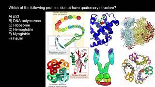 Six proteins structures you have to know [upl. by Asilahs398]