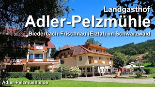 Landgasthof AdlerPelzmühle in Biederbach Elztal im Schwarzwald [upl. by Arliene]