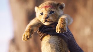 Baby Simba Scene  THE LION KING  Movie Scene 2019 [upl. by Aryek]