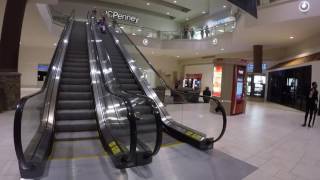 Sledding down escalator 2  wait for it Sledgang 50sec [upl. by Yenterb]