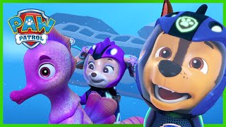 PAW Patrol Royal Rescues 👑  PAW Patrol  Cartoons for Kids Compilation [upl. by Ahseihs]