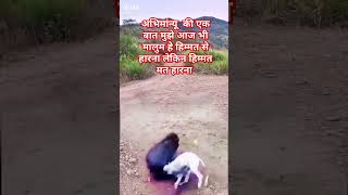 अभिमान्यू की एक बातanimal motivation sorts [upl. by Walt352]