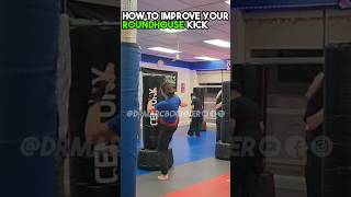 How to IMPROVE your Roundhouse Kick roundhousekick roundhouse doctormarcbochner [upl. by Nilo]