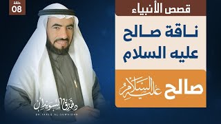 قصص الانبياء  ح 8  صالح عليه السلام وثمود ومعجزة الناقة [upl. by Bryce]