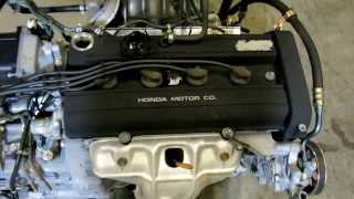 JDMAllianceUSAcom  JDM Honda CRV B20B DOHC 20L Engine Video  B20B3543151 [upl. by Baggett]