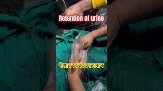 Retention of urinary bladder l dr Umar khan [upl. by Zapot76]