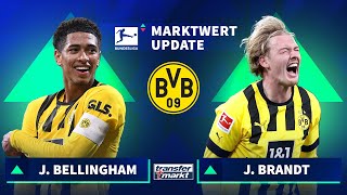 Marktwerte Bundesliga Alle Änderungen von BORUSSIA DORTMUND im Detail erklärt  TRANSFERMARKT [upl. by Ibok995]