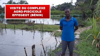 Visite du complexe agropiscicole EFFEGEOT Bénin [upl. by Leidgam738]