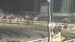 20120907 園田ナイター競馬9R 摂津盃 エーシンアガペー [upl. by Ellenid875]