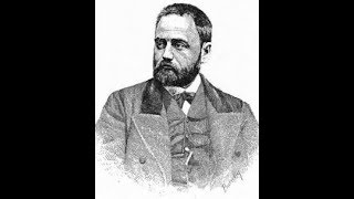 Émile Zola  La Fortune des Rougon Analyse [upl. by Jacobo]