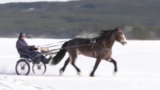 Hos Heiki på Finnskogen [upl. by Ecnarrat]