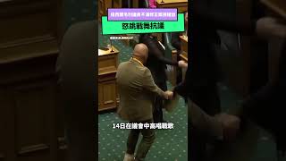 國會不打架！紐西蘭毛利議員不滿修正案損權益 怒跳戰舞抗議｜NOWnews 毛利 紐西蘭 國際新聞 [upl. by Veal]