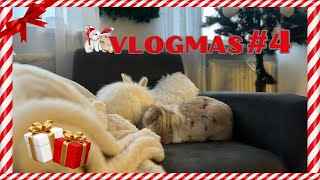 VLOGMAS 4  Pomysły na prezent dla królika 🎁 [upl. by Liederman]