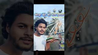 कीड़ा🐛बेटे को मेला🤩घुमाया comedy insect [upl. by Nylidnarb]