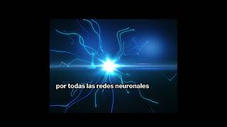 LAS INCREIBLES CONEXIONES QUE HAY EN NUESTRO CEREBRO LOS NEUROTRANSMISORES [upl. by Aidam]