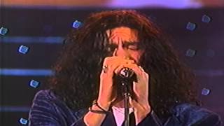 Caifanes  De Noche Todos los Gatos Son Pardos En Vivo 1991 HD [upl. by Belcher10]