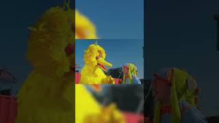 Big Bird is a Dinosaur Expert sesamestreet [upl. by Orvan]