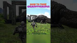 how to tame Giganotosaure ark arksurvivalevolved [upl. by Gnehp581]